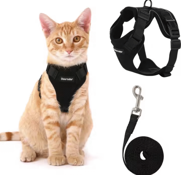 Correa Personalizada Ajustable y Transpirable para Gatos – Diseño Ergonómico y Seguro - Image 2