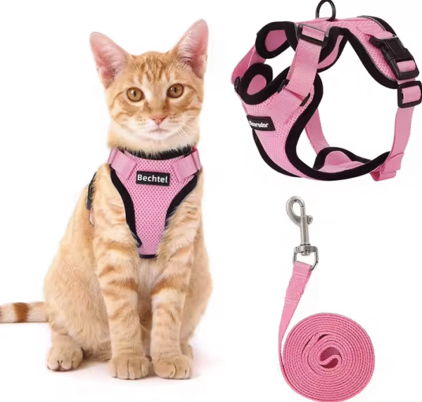 Correa Personalizada Ajustable y Transpirable para Gatos – Diseño Ergonómico y Seguro - Image 3