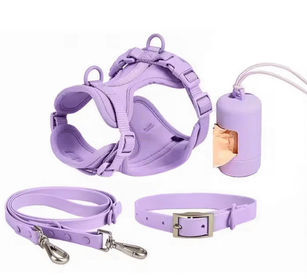 Set de Paseo de Lujo para Perros – Arnés, Collar, Correa y Dispensador de Bolsas - Image 6