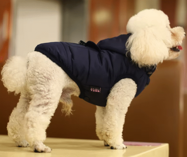 Chaleco Impermeable de Algodón para Perros – Ropa Cálida y Resistente para Mascotas - Image 5