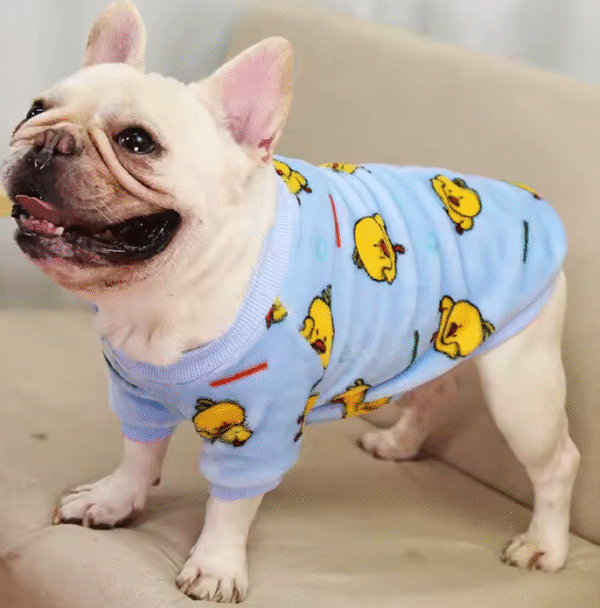 Pijamas de Franela para Perros – 7 Diseños Divertidos y Cálidos - Image 5