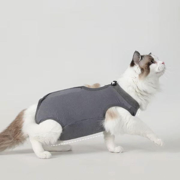 Traje de Recuperación para Gatos – Onesie Postoperatorio Suave y Transpirable - Image 15