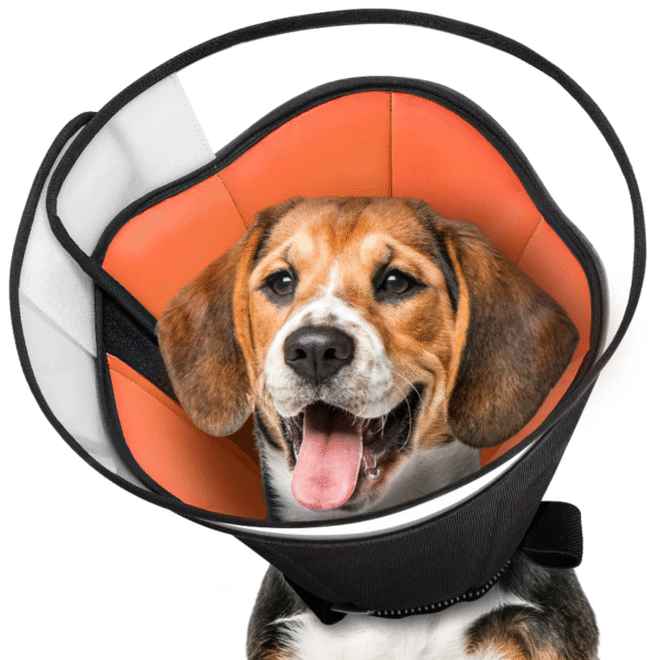 Collar Inflable de Recuperación para Mascotas – Ajustable y Suave de PVC