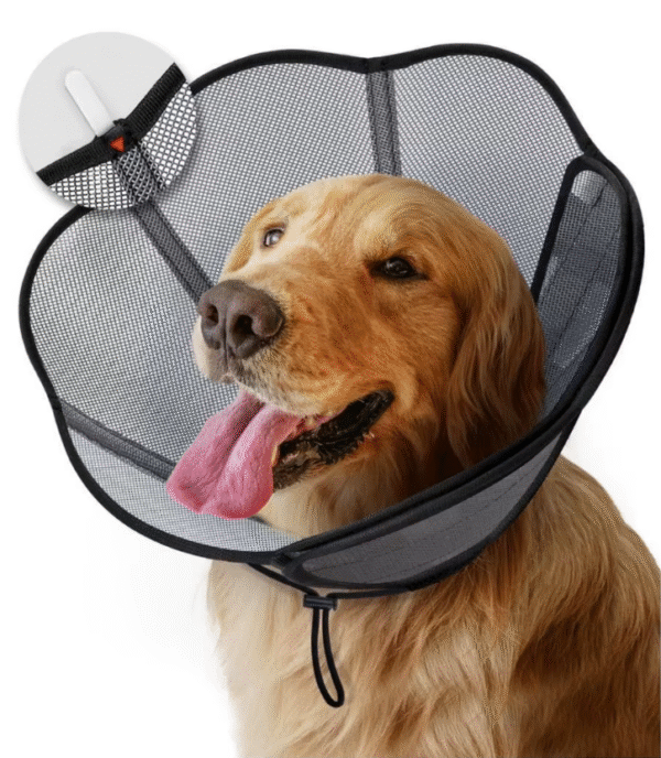 Collar Isabelino Ajustable para Perros – Protección Postoperatoria Cómoda y Segura