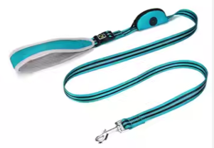 Correa de Nailon Reforzada para Perros - Image 3