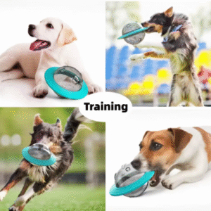 Pelota Dispensadora Resistente para Perros y Gatos