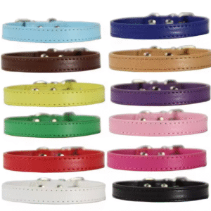 Collar “Teddy” con Hebilla D para Perros