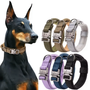 Collar Táctico Acolchado con Hebilla Metálica