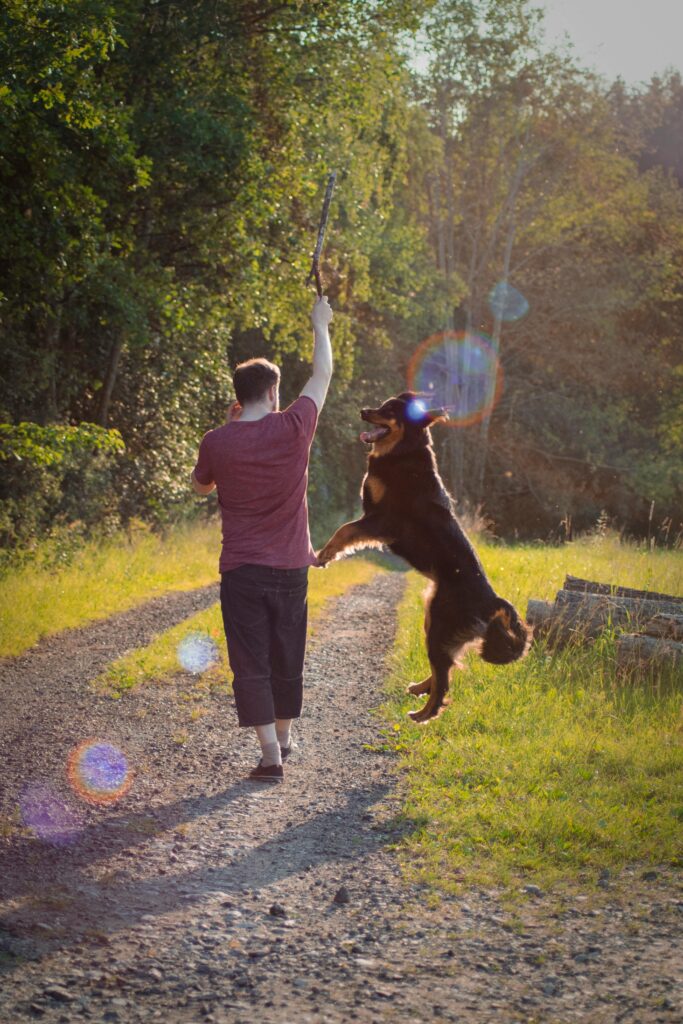 A man and dog enjoying a playful moment on a sunny trail in the forest.